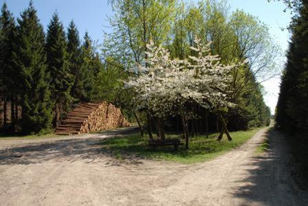 Pension Haus Talblick Винтерберг Екстериор снимка