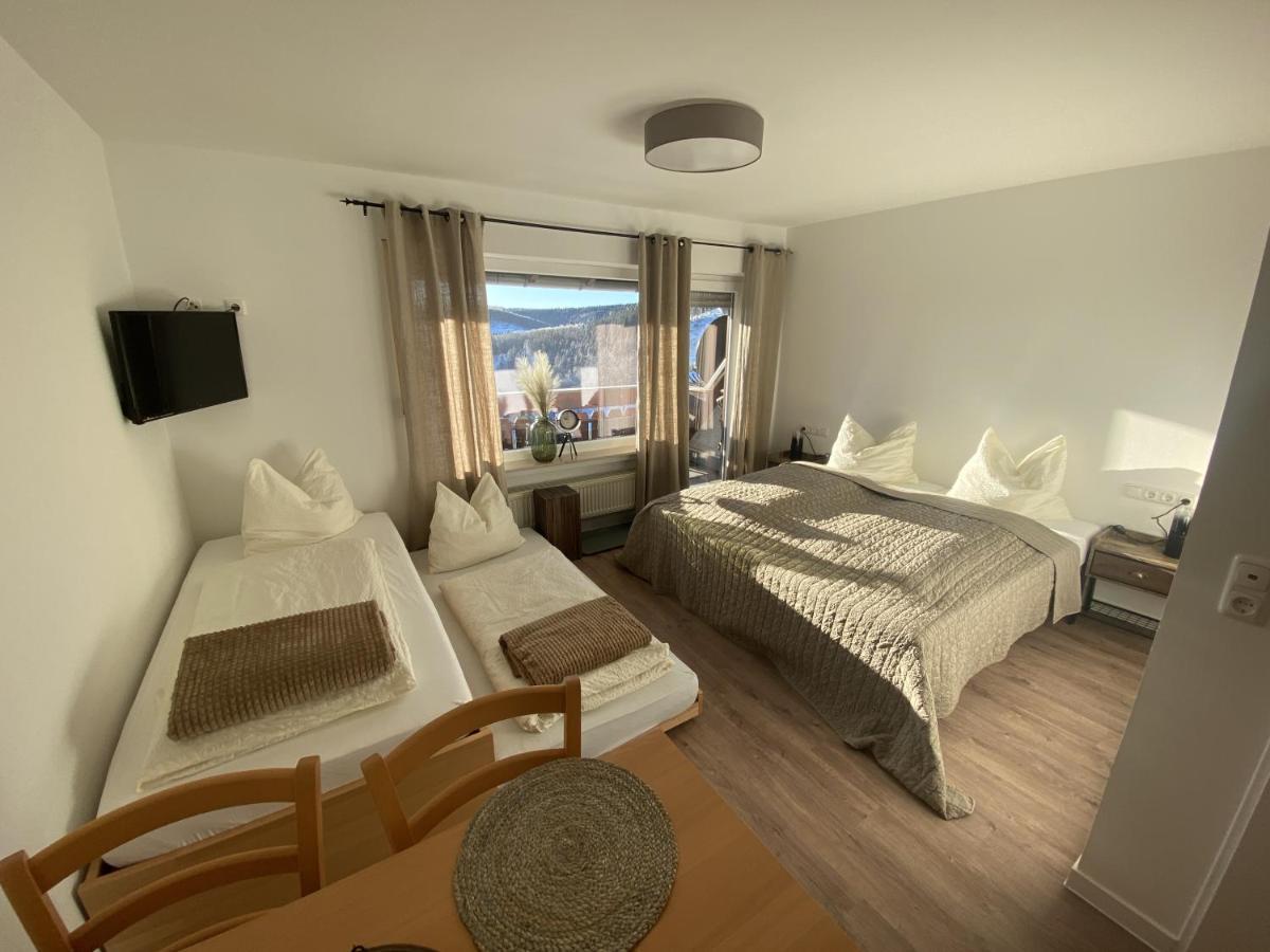 Pension Haus Talblick Винтерберг Екстериор снимка
